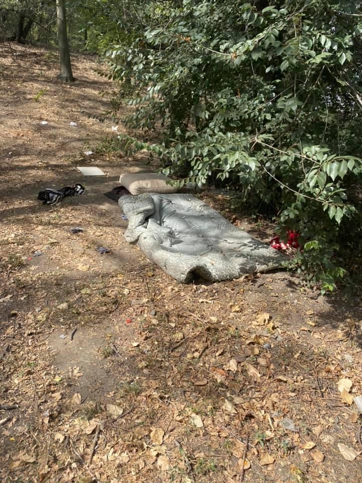 Фото: Дмитрий Ревун