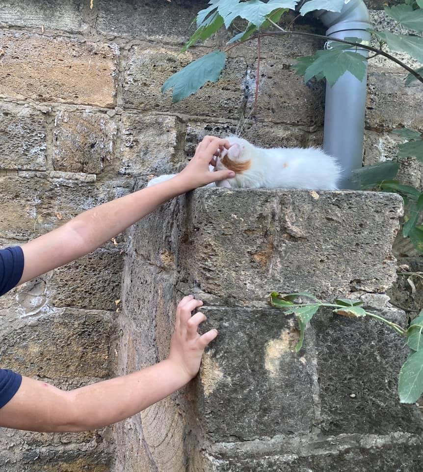 Фото: Дмитрий Ревун