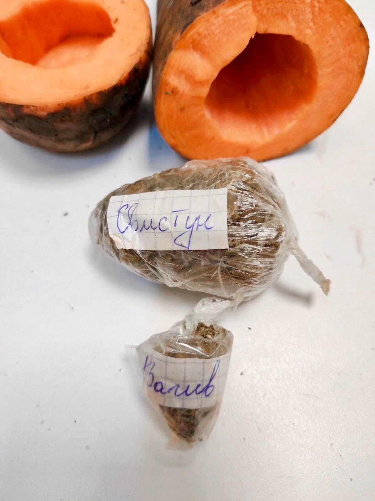 Морковка с наркотиками. Фото: ГУ "Одесский следственный изолятор"
