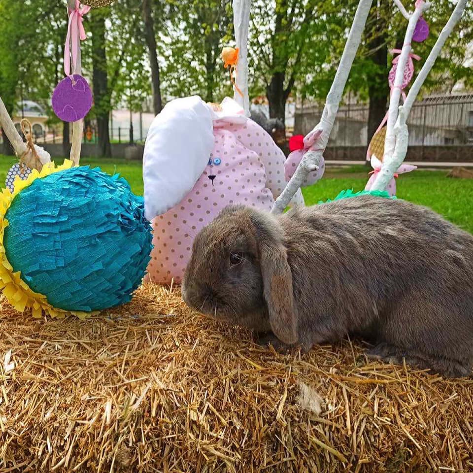 Фотозона в Одесском зоопарке. Фото зверинца