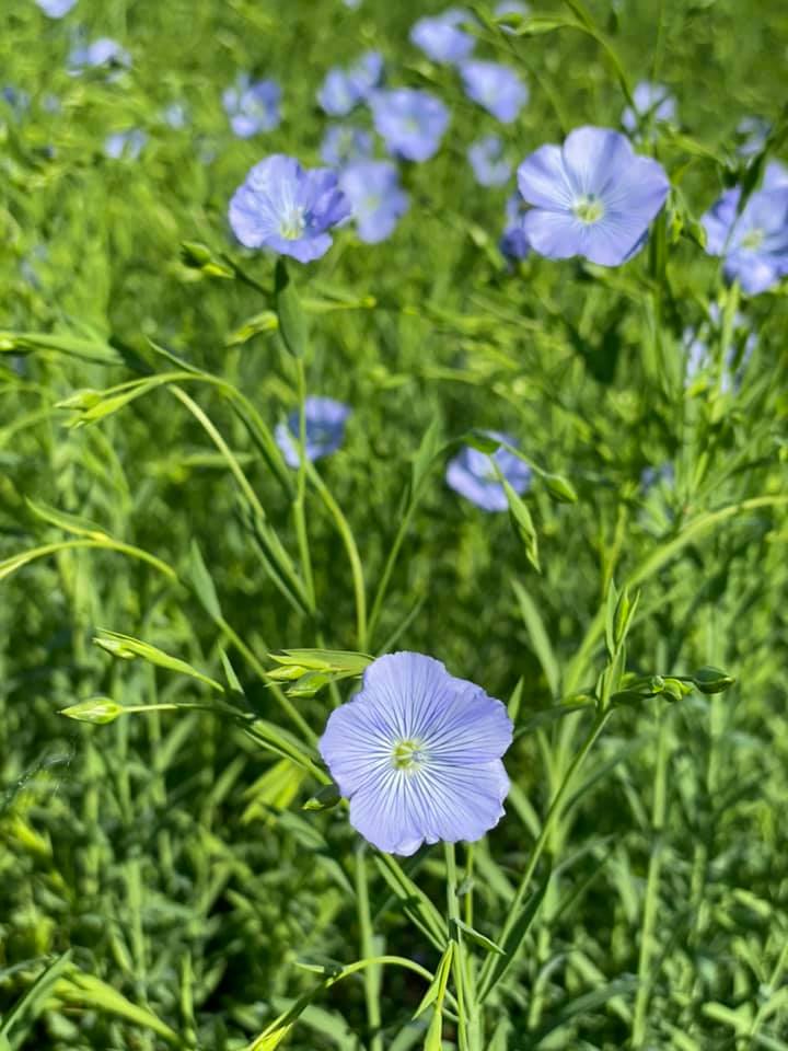 Фото: Роман Дяжук