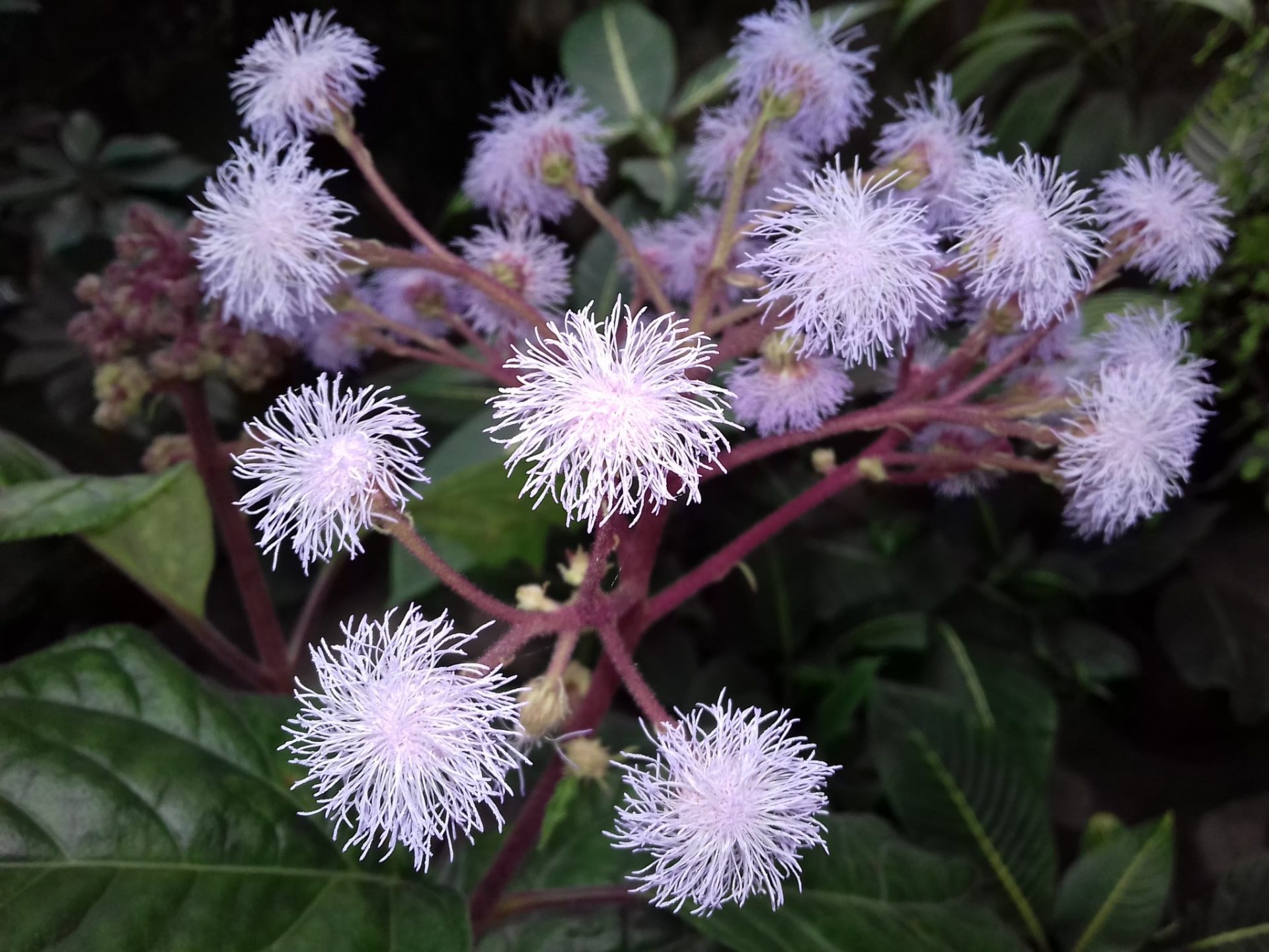 Март в ботаническом саду. Фото со страницы учреждения в Facebook