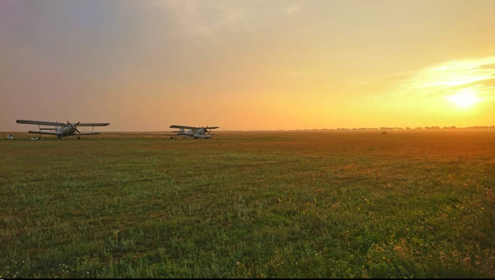 Фото:  Коля Мухин