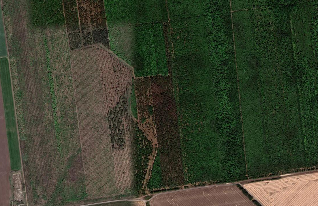 Скрин карты Google