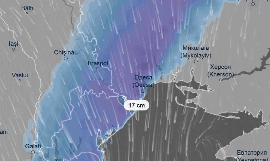 Снегопад на 27-28 января. Источник: windy.com