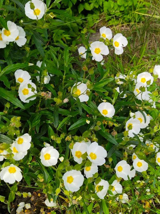 Фото Ботсада