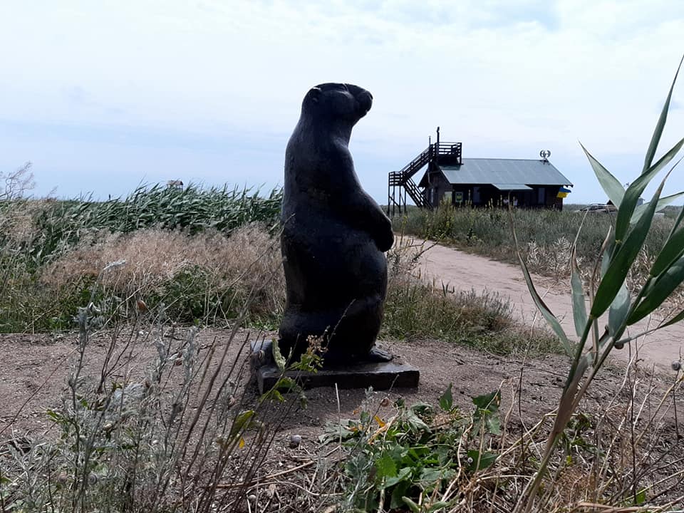 В Тузловских лиманах появилась новая достопримечательность. Фото: Тузловские лиманы 