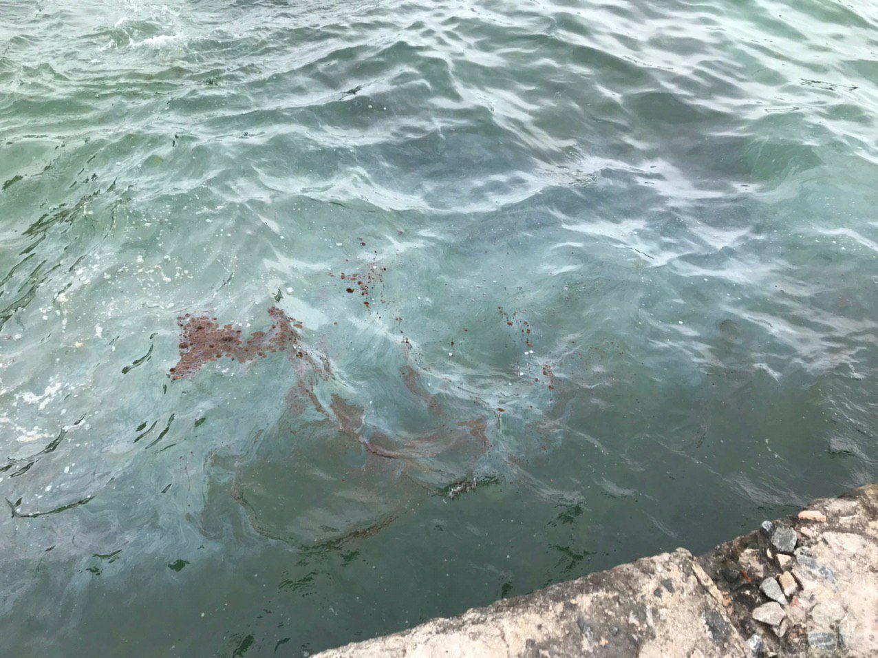 Фото: Администрация морских портов Украины