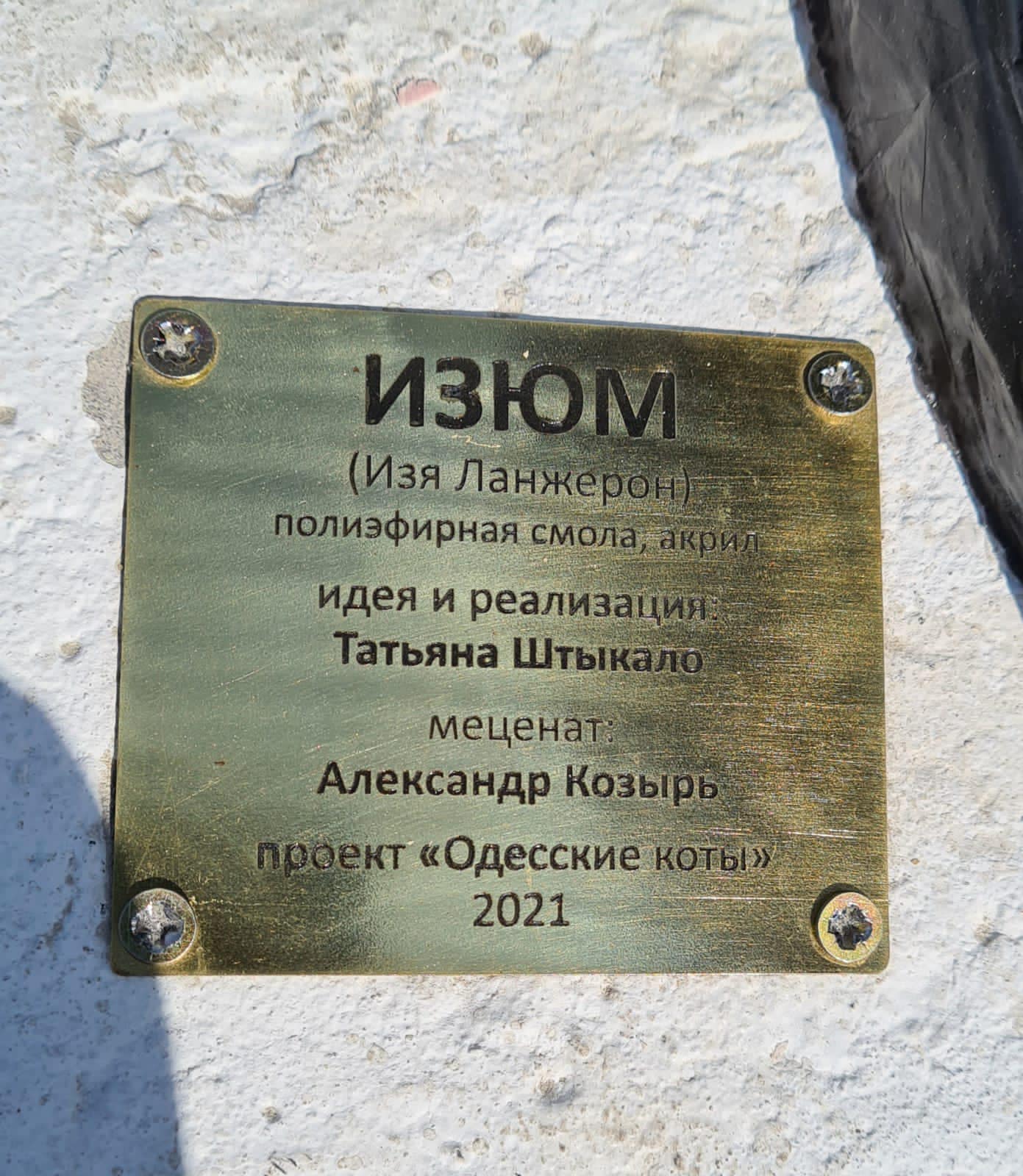 Кот Изюм. Фото: Татьяны Штыкало