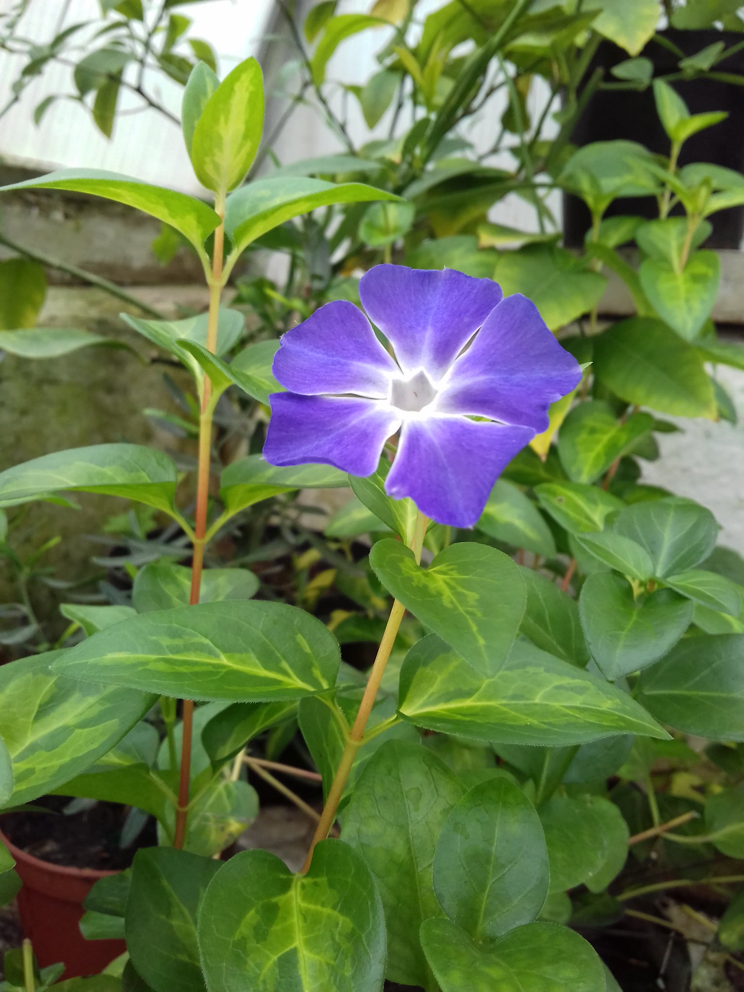 Март в ботаническом саду. Фото со страницы учреждения в Facebook