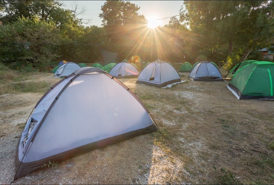 Steller Hostel & Camping Фото: 2ГИС