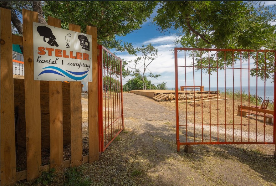 Steller Hostel & Camping Фото: 2ГИС