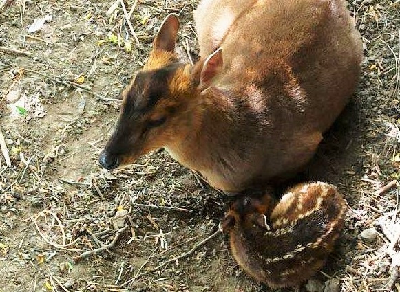 Фото: горсовет