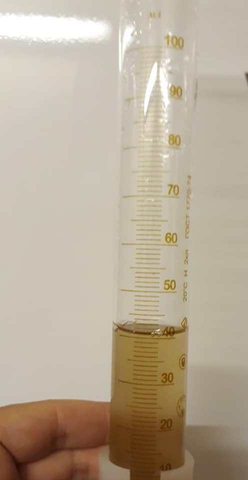 Проба с морской водой. Фото: Галина Теренько