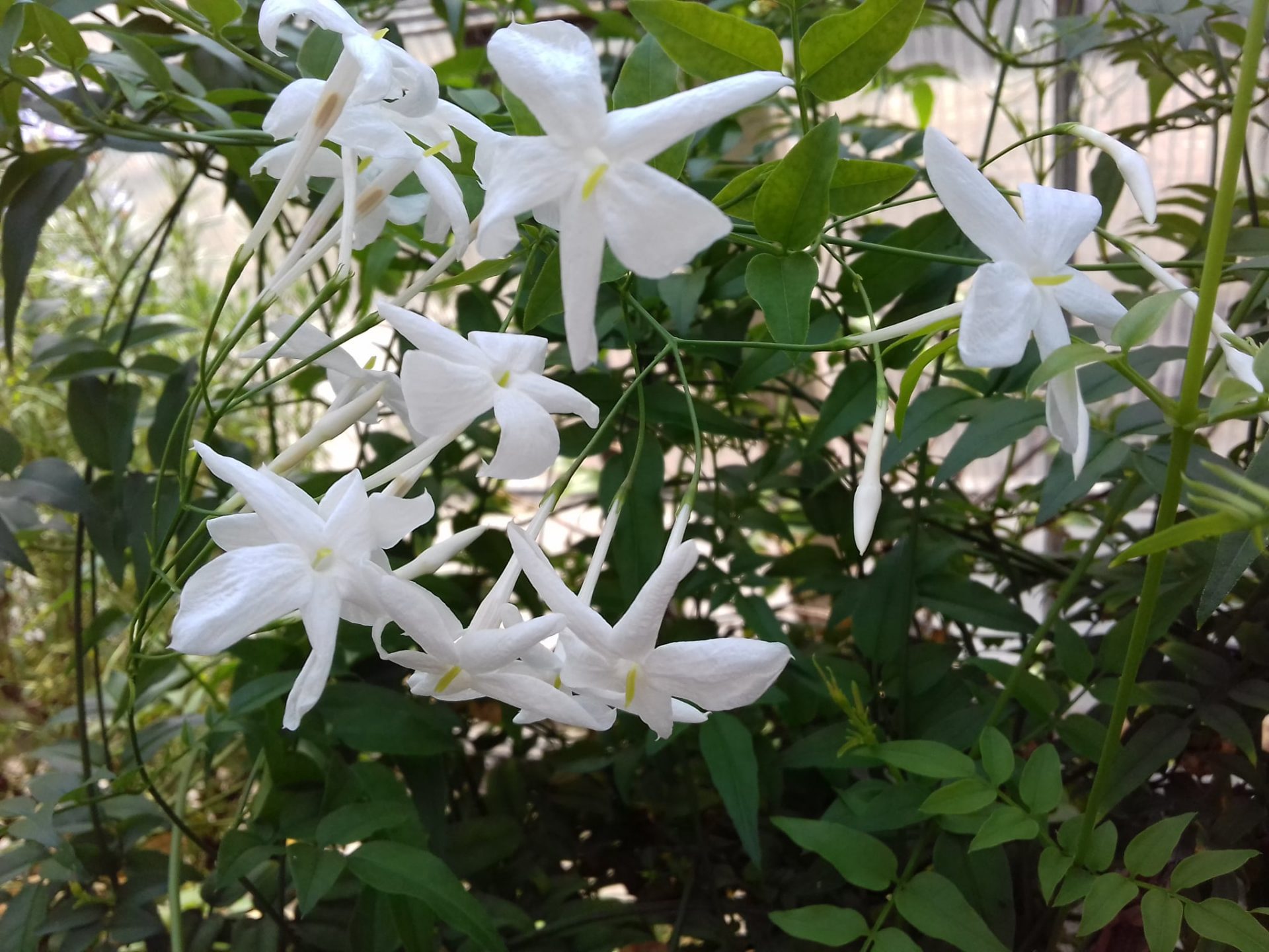 Март в ботаническом саду. Фото со страницы учреждения в Facebook