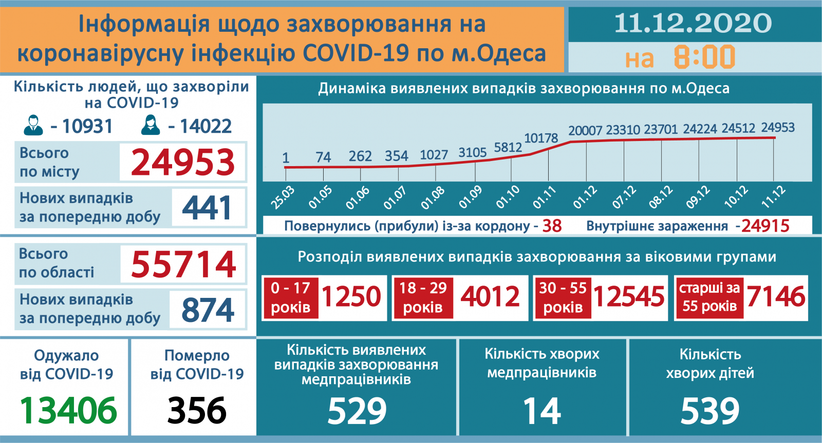 Инфографика горсовета 