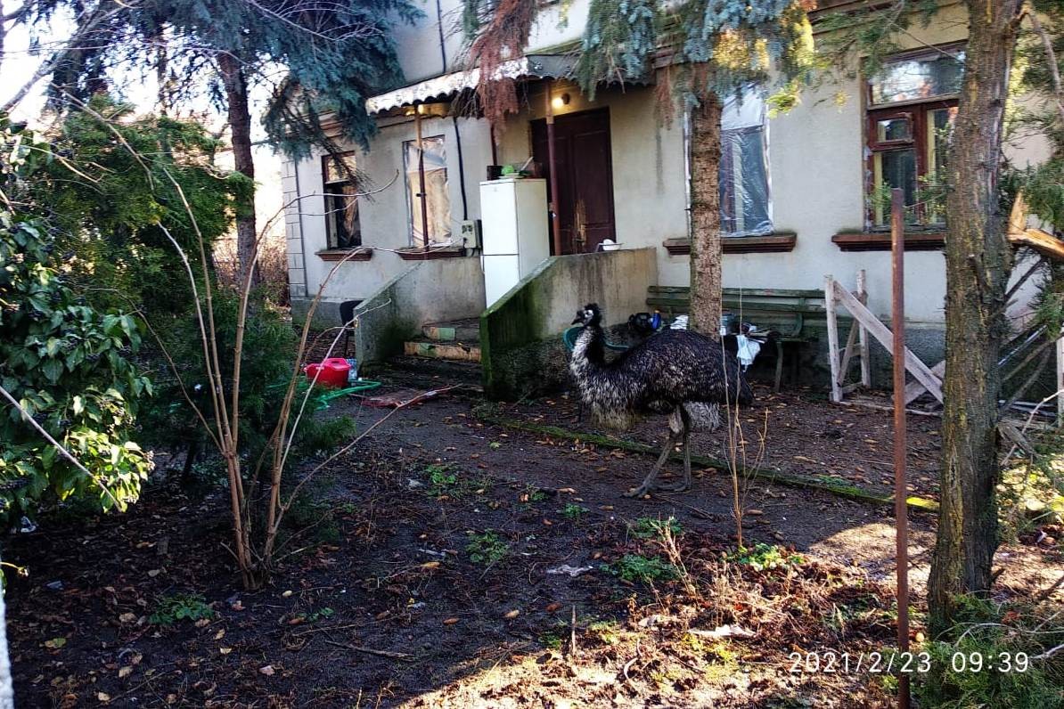 Дом на Петрашевского, 19. Фото горсовета