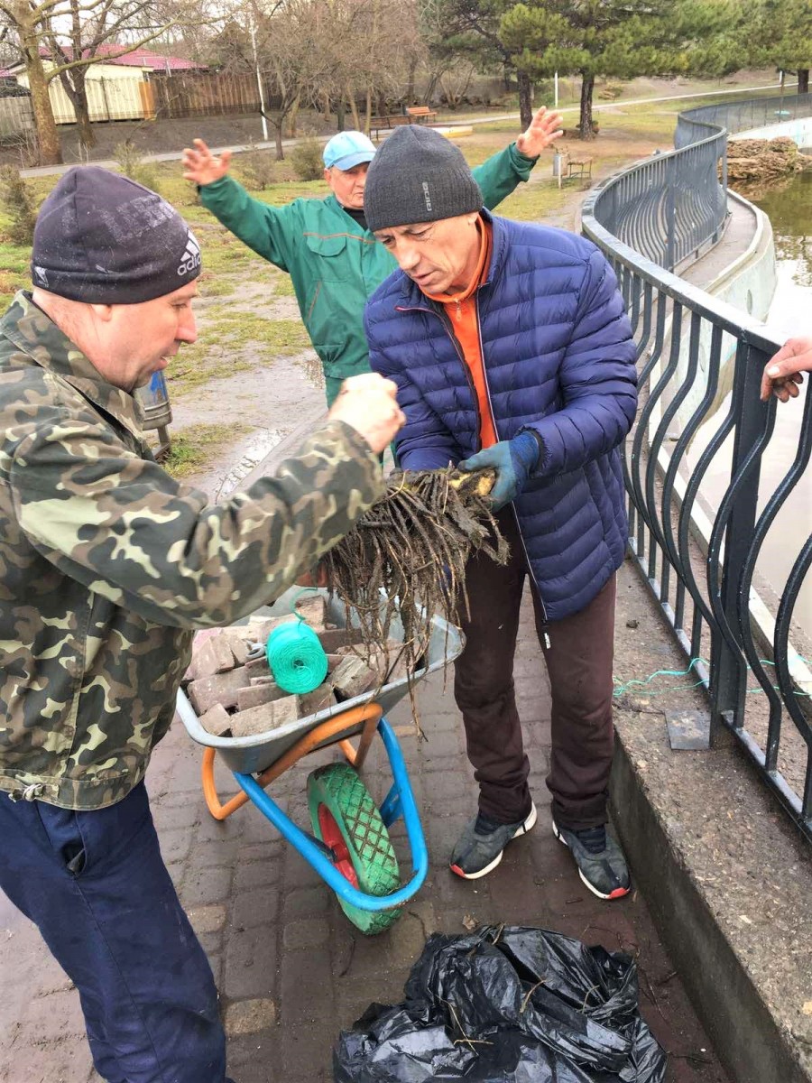 Украшение пруда в парке Победы. Фото горсовета
