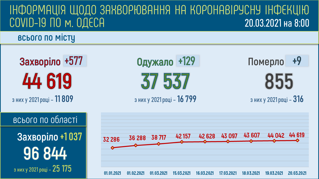 Инфографика горсовета