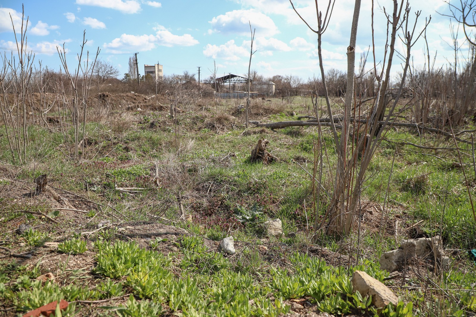В Одессе перезахоронят жертв политических репрессий. Фото горсовета