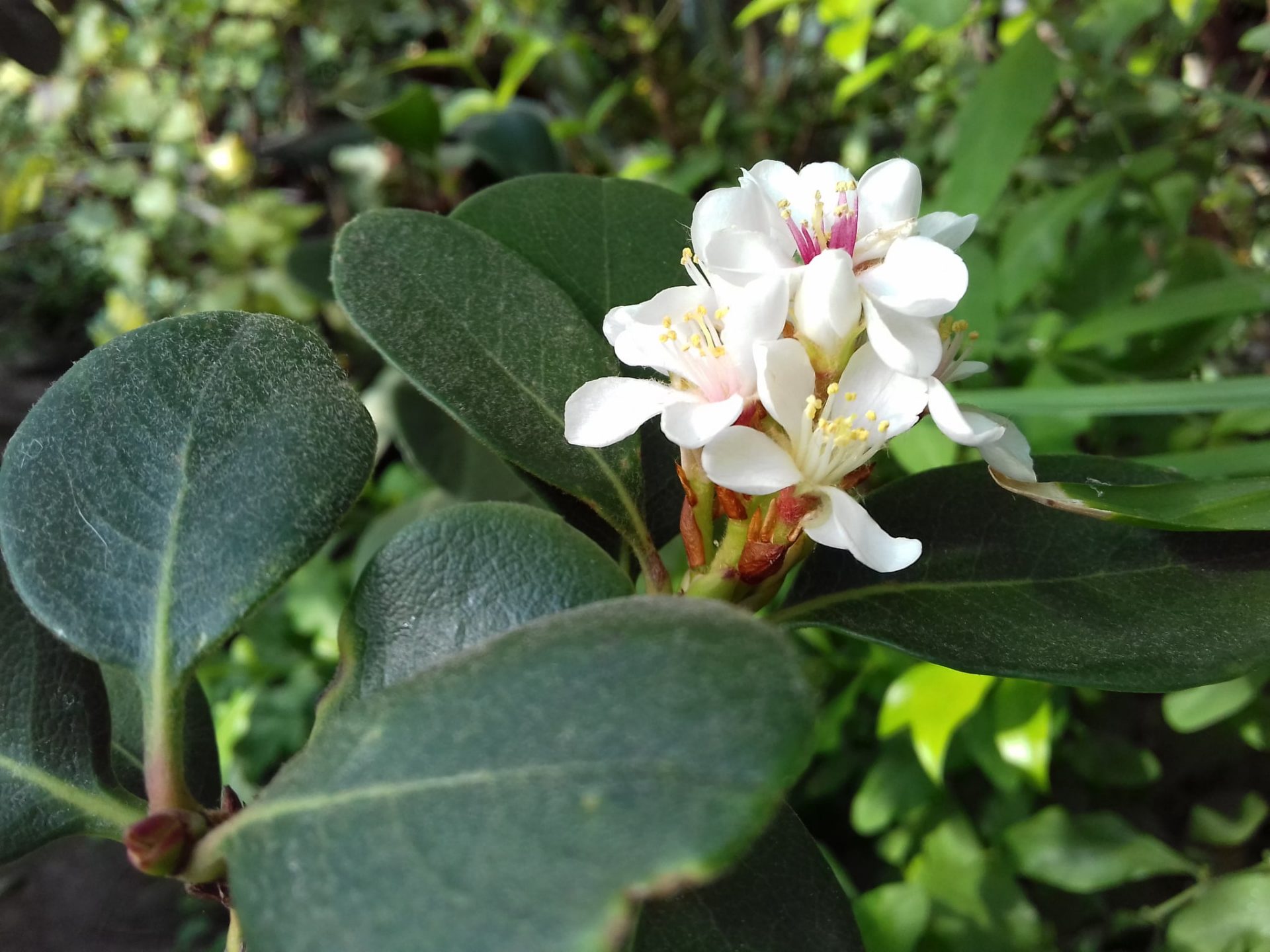 Март в ботаническом саду. Фото со страницы учреждения в Facebook