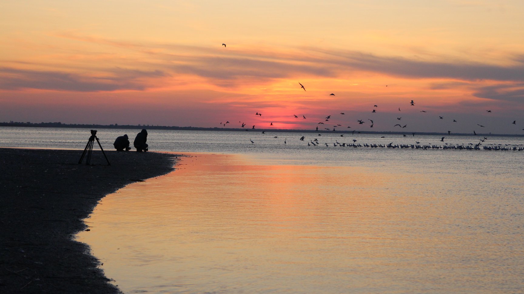 Кадры со съемок фильма. Фото: Госкино