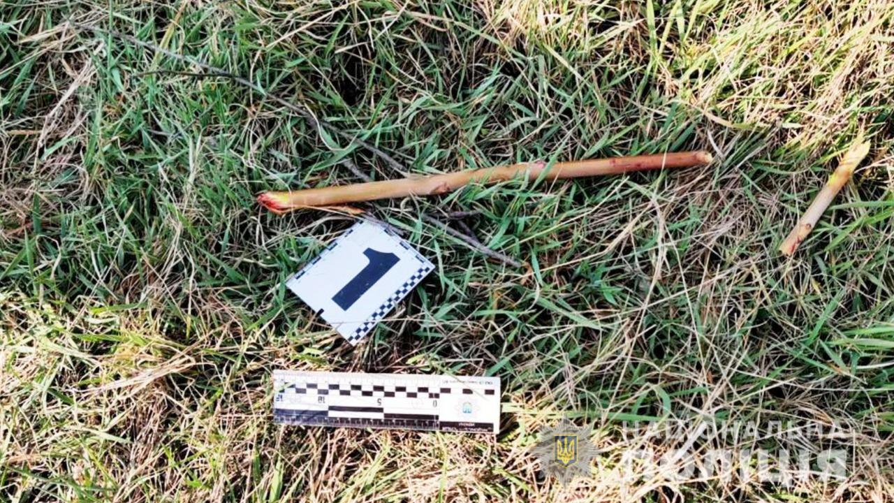 В Измаиле подростки убили бездомного. Фото: Нацполиция