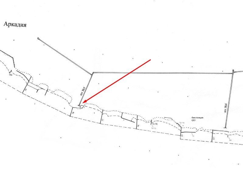Фото: Юрий Никитин