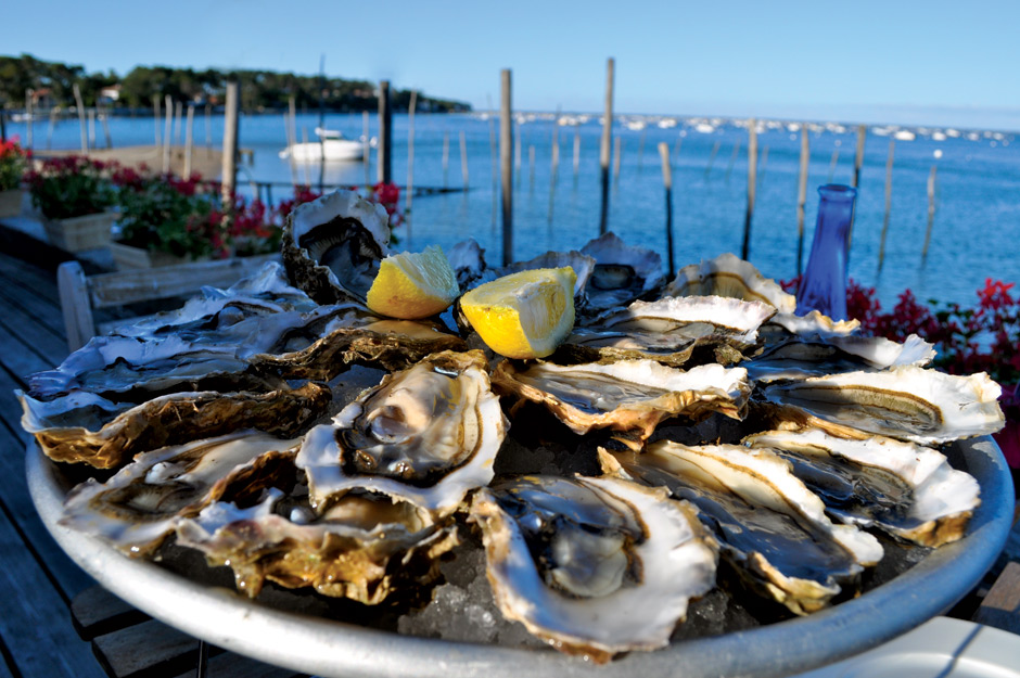 Устрицы на Тилигульском лимане