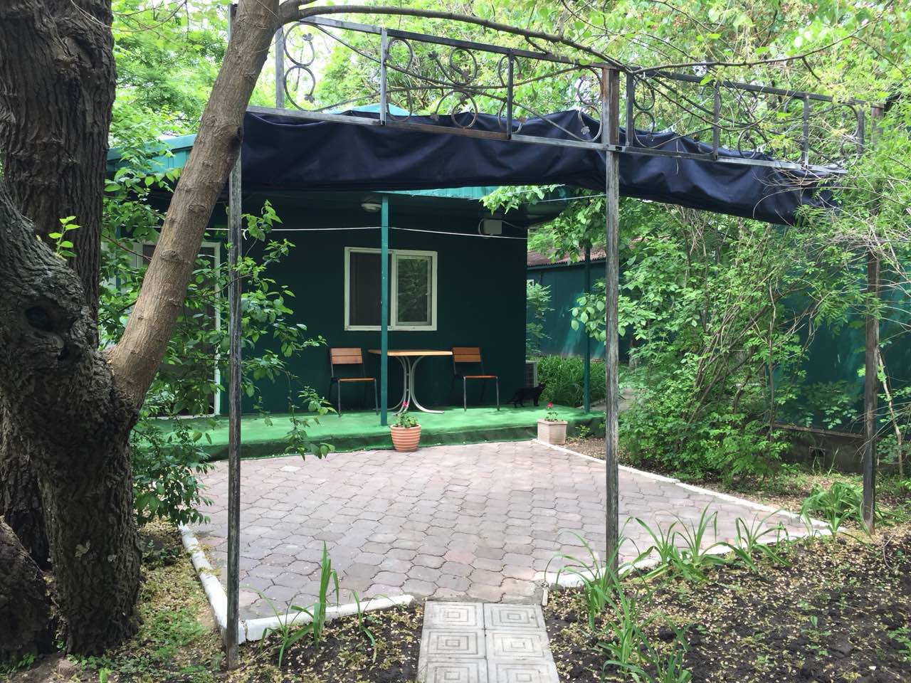 Malibu Beach Complex  Фото: booking