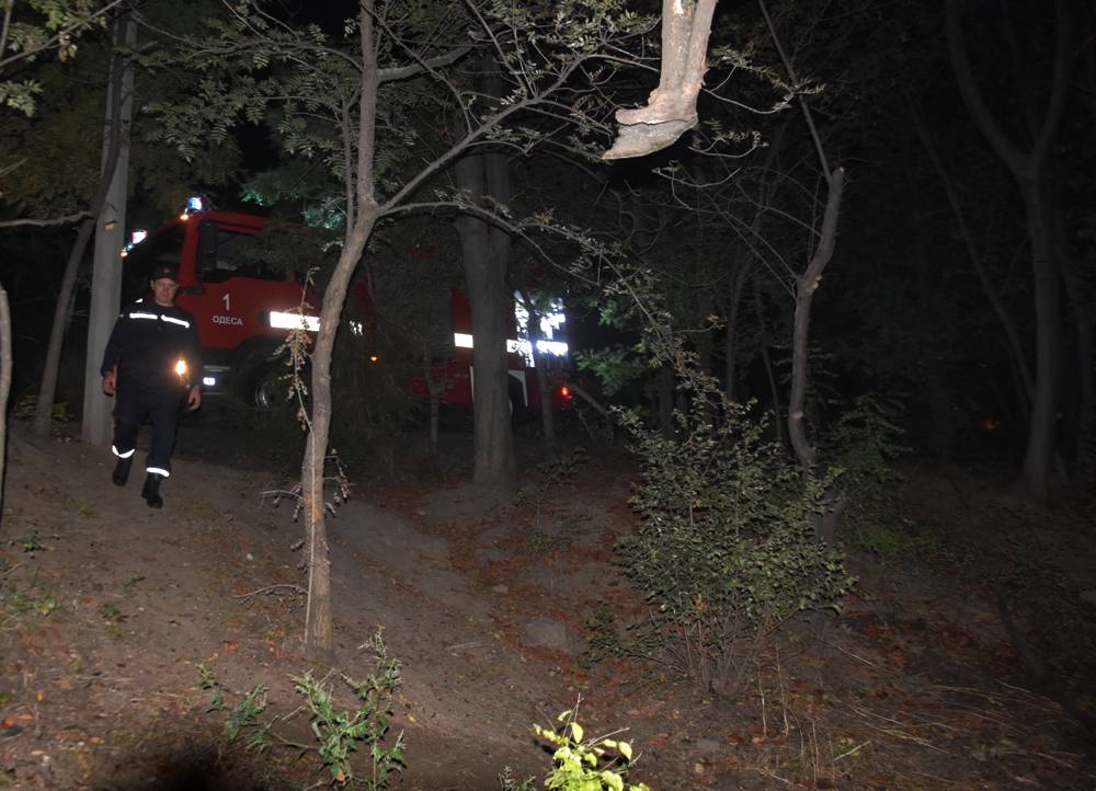 Пожар на Ланжероне Фото: ГСЧС