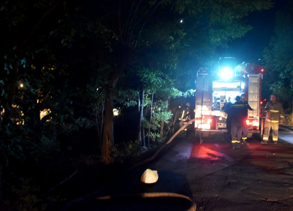 Пожар на Ланжероне Фото: ГСЧС