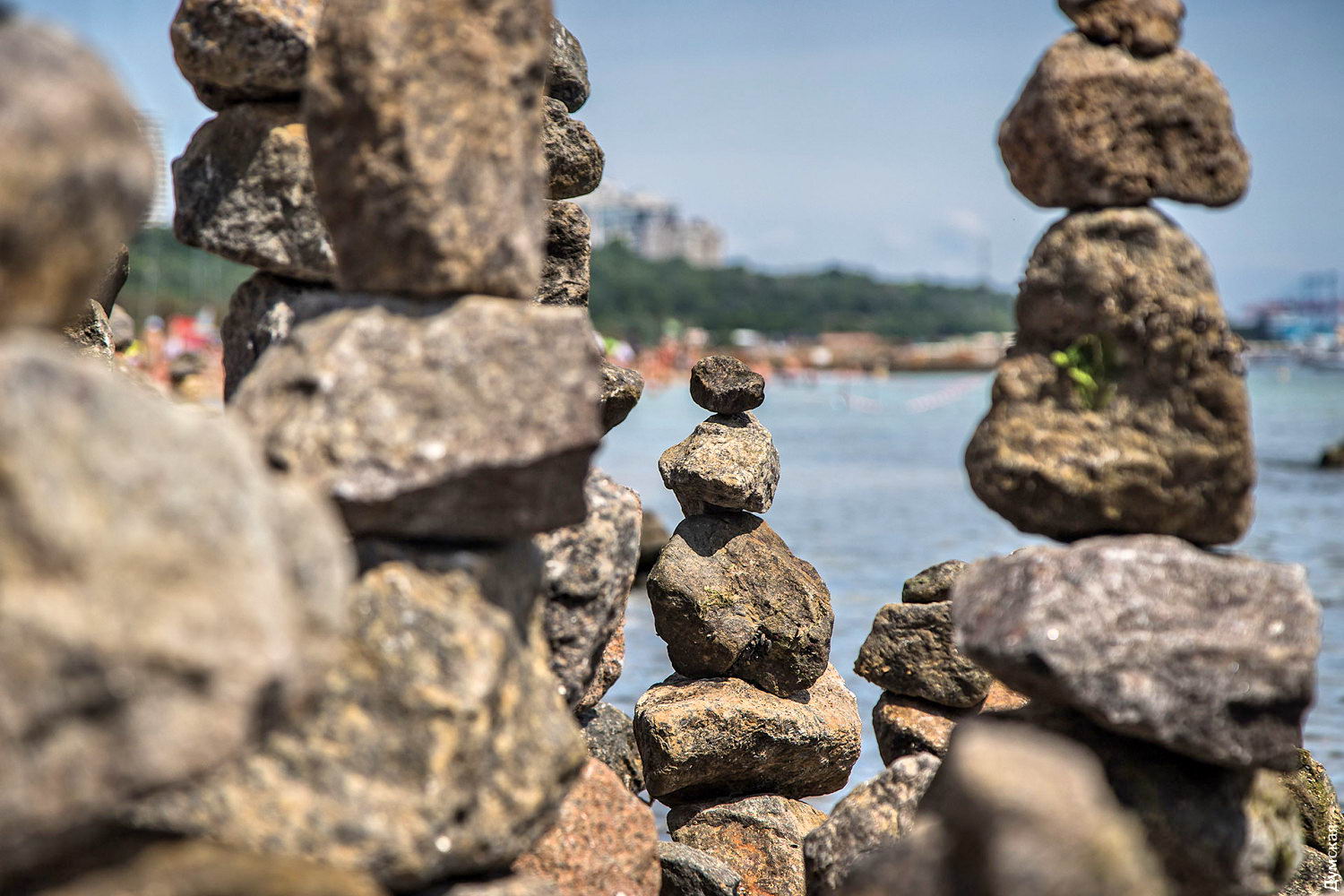 Сад камней Фото: Думская