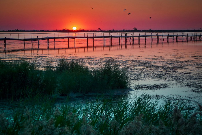 Тузловские лиманы. Фото: Виталия Евдощенко