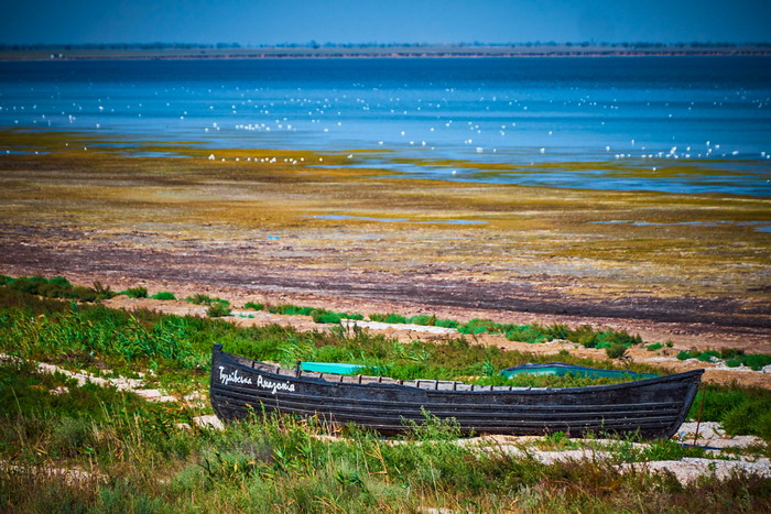 Тузловские лиманы. Фото: Виталия Евдощенко