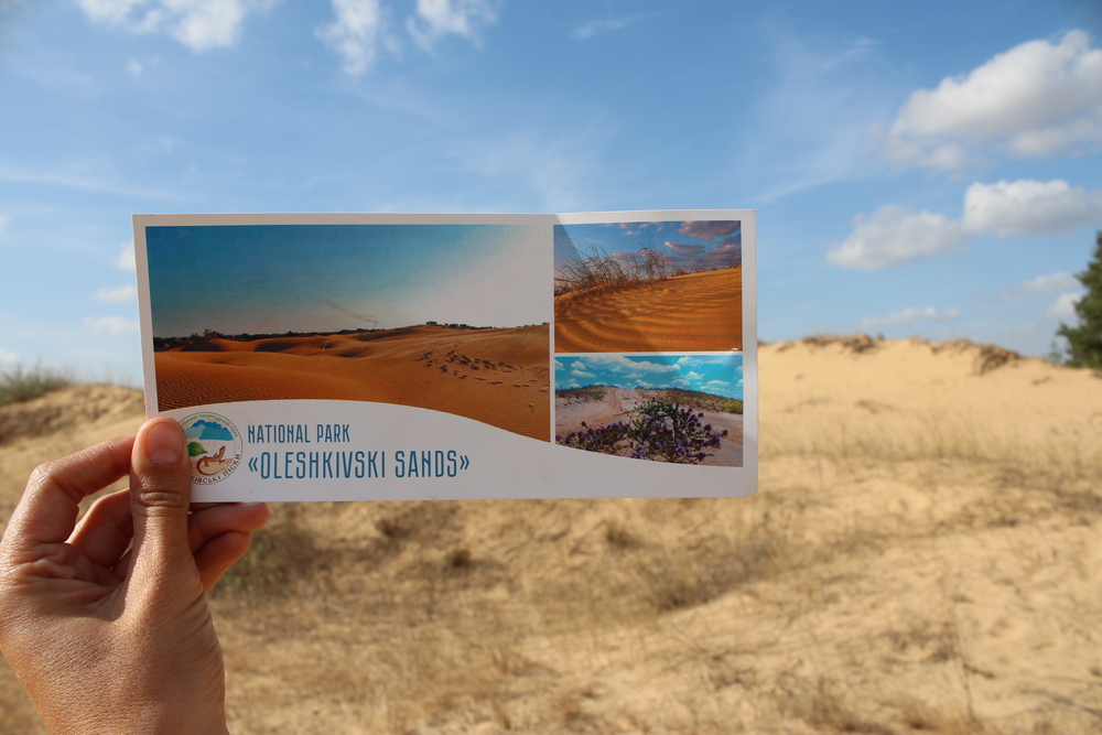 Нацпарк "Олешковские пески". Фото автора