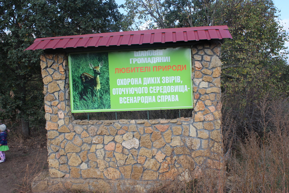 За грибами и шишками: все, что вы не знали про Дальницкий лес под Одессой 