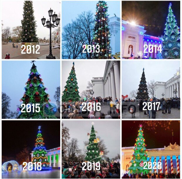 Елка в Одессе. Фото: Odessa Info