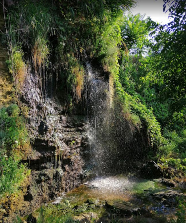 Фото: Ира Цисар Google map