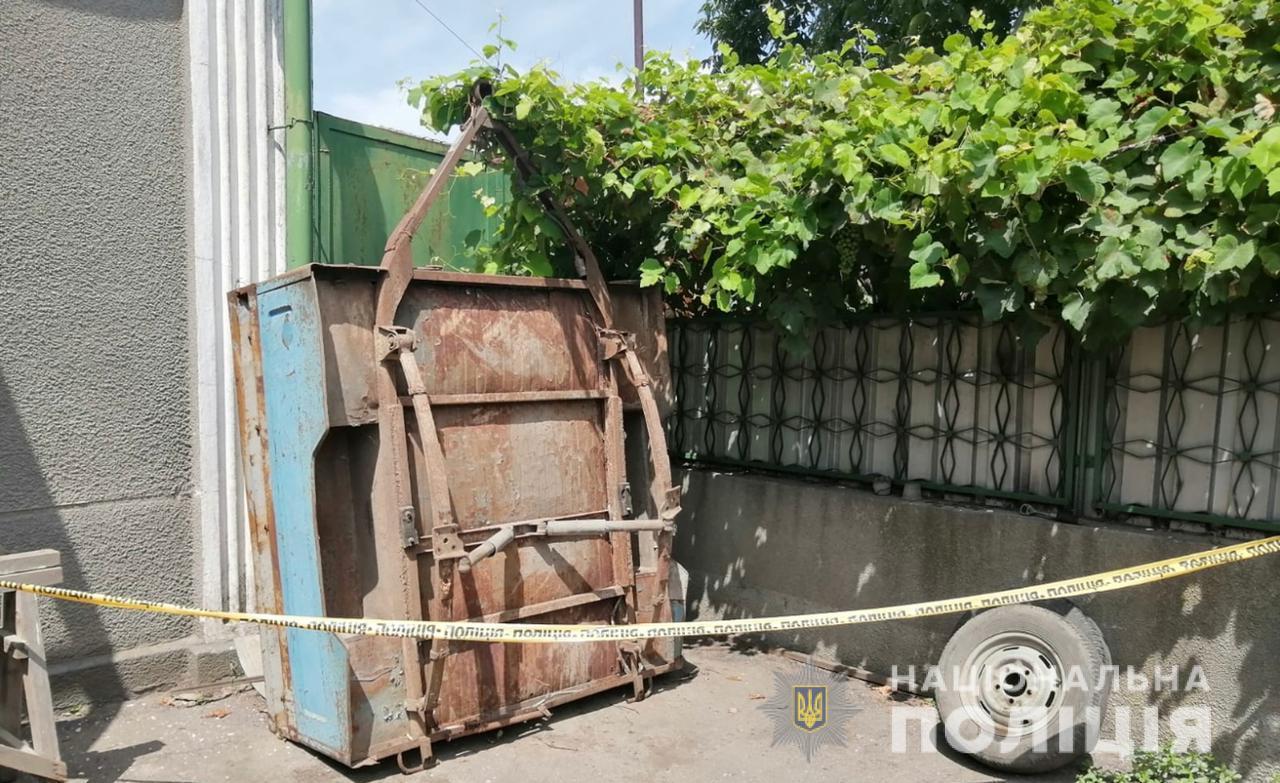 Рванные раны рук: под Одессой алабай покусал двухлетнего мальчика фото 1