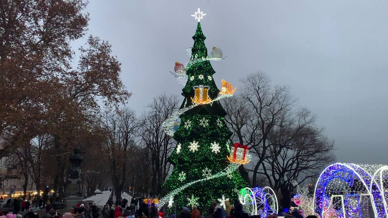 Открытие елки на Думской. Фото: YouTube