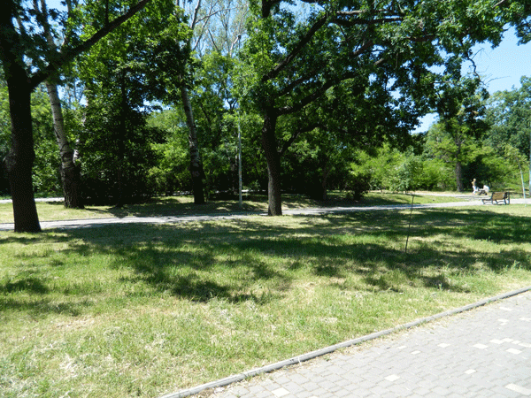 Парк Шевченко в Одессе