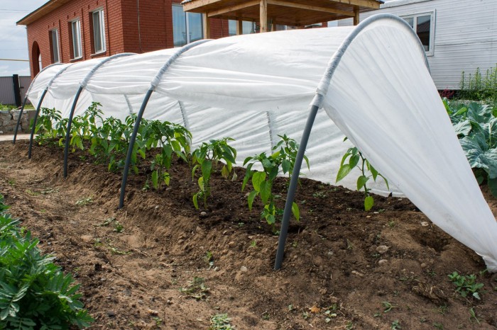 Фото: САД ОГОРОД