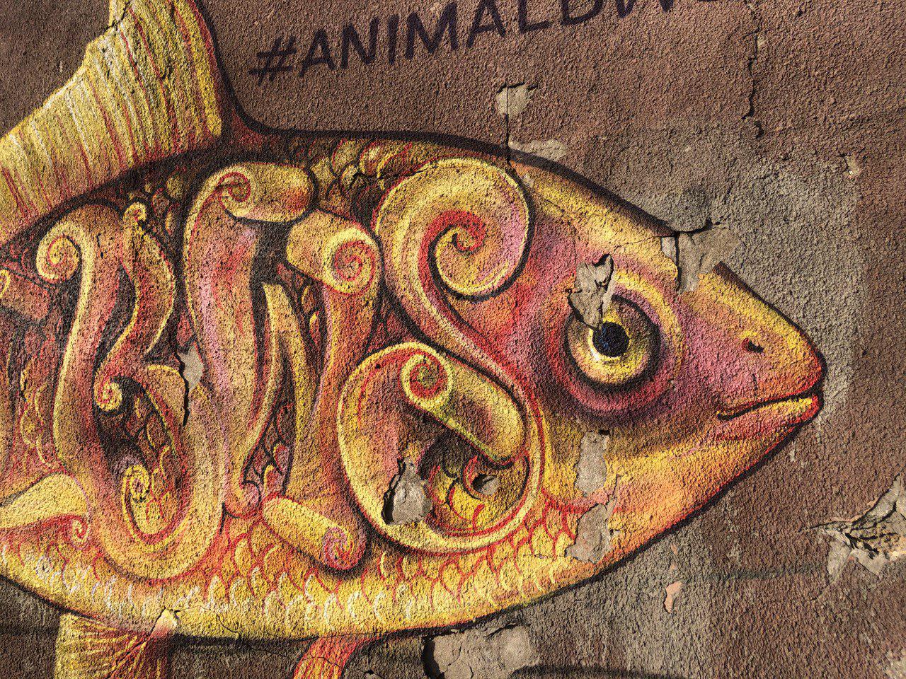 Ольгиевская. Фото автора