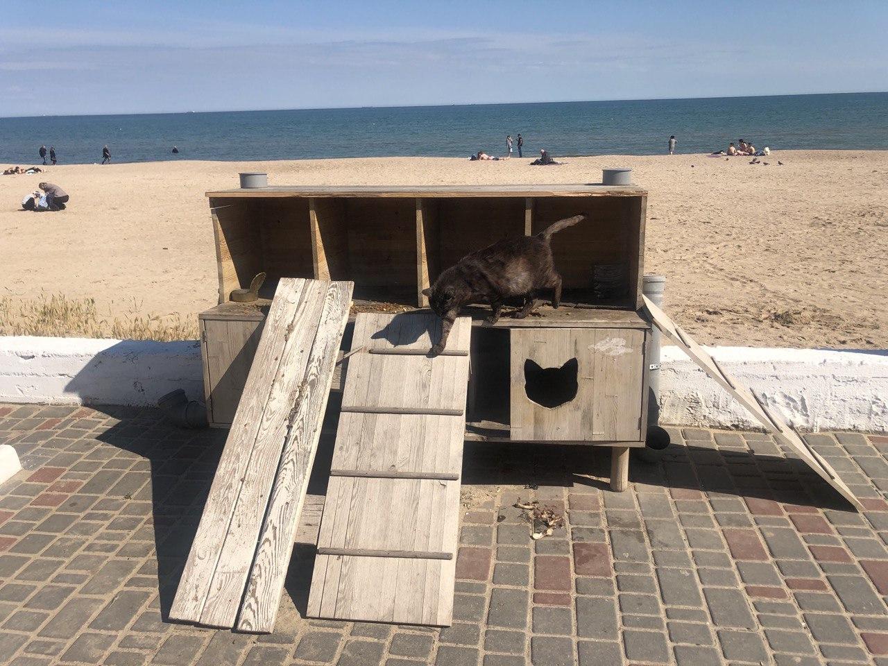 Дом для котов Фото автора