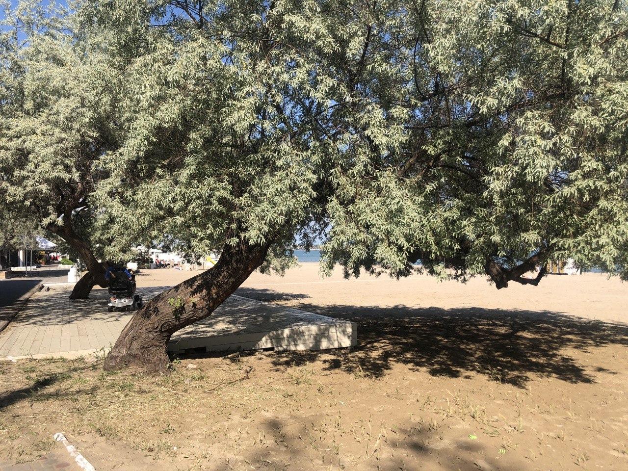 Лузановка. Фото автора