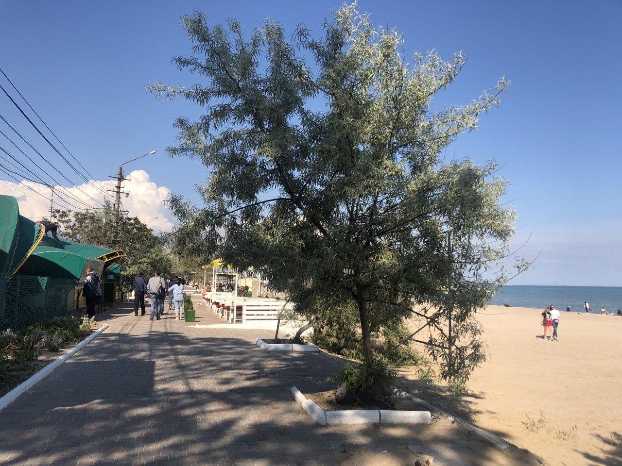 Лузановка. Фото автора