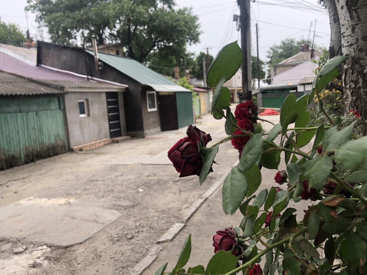 Пересыпь Фото автора