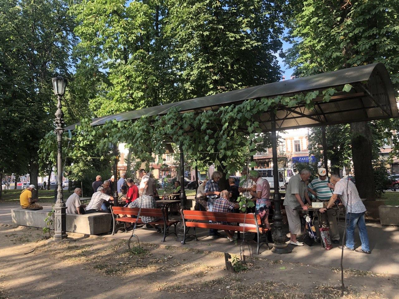 Шахматы и шашки Фото автора