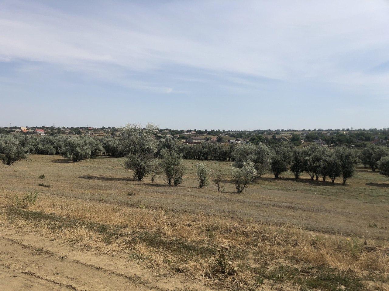 Дорога к озеру Фото автора